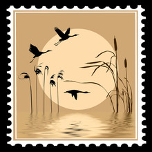 Silhouette Flying Birds On Postage Stamps