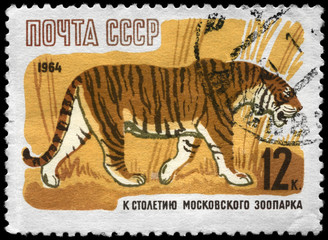 Wall Mural - USSR - CIRCA 1964 Tiger