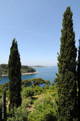 Plakat na papierze fotorealistycznym Cmentarz z cavtat
