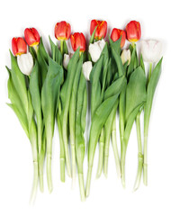 Wall Mural - bouquet of red tulips