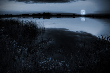Wall Mural - Moonlight over a lake