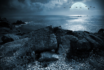 Wall Mural - Fullmoon over the ocean