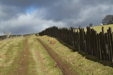 Wall Mural - Track and fence.