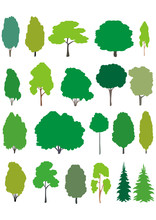 Trees. Vector Cartoon Set.