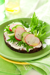 Wall Mural - sandwich with soft cheese,radish and cucumber