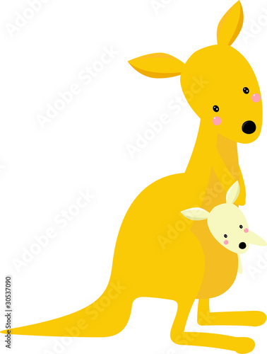 Obraz w ramie kangaroo and its baby