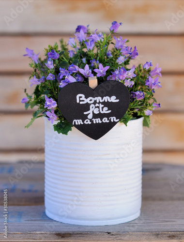Bonne Fete Maman Petit Pot De Fleurs Stock Photo Adobe Stock