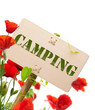 camping sign - Word camping on a wooden panel