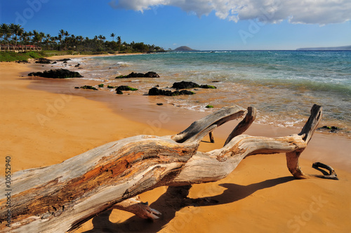 Plakat na papierze fotorealistycznym Park plażowy mokapu, Maui na Hawajach