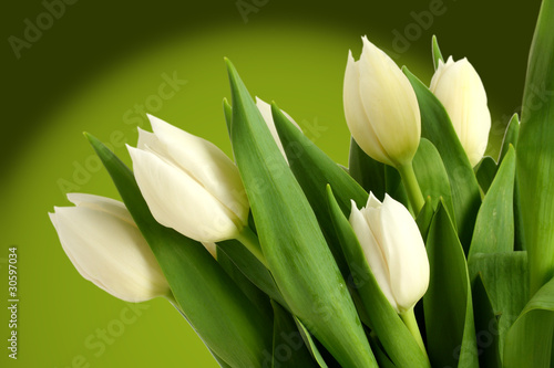 Dekoracja na wymiar  tulipany