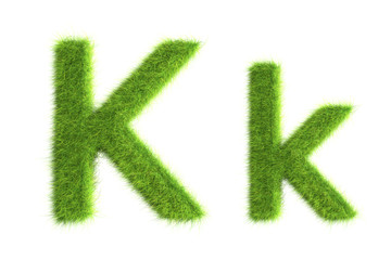 Wall Mural - Grass letters