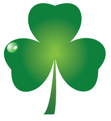 Canvas Print - vector shamrock