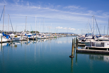 Tauranga Marina 2