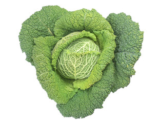 Poster - Green cabbage