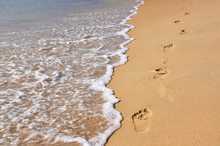 Footmarks On The Sandy Beach ..