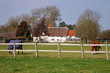 Horses grazing in a paddock with Thatched house behind