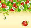 Vector strawberry frame 3. Red berry and white flower