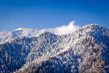 Mount Leconte In Snow In Smokies