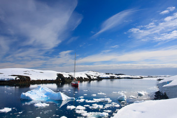 Wall Mural - yacht in antarctica