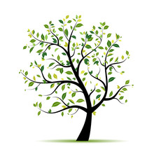 Spring Tree Green For Your Design