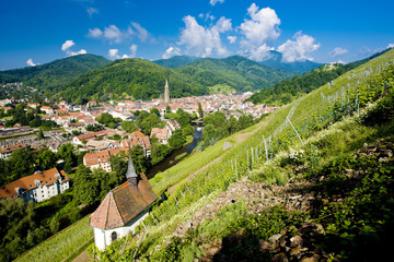 Fototapete - grand cru vineyard and Chapel of St. Urban, Thann,Alsace,France