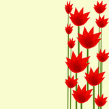 Fototapeta Tulipany - czerwone tulipany