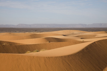  Sahara Desert, merzouga