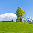alpine farm land in austria