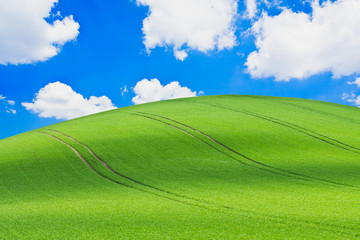 Poster - green field