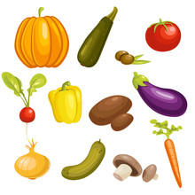 Vegetables Set Isolated. Vector Illustration.