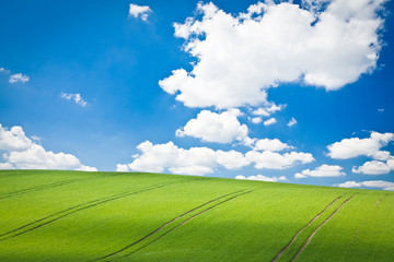 Poster - green field