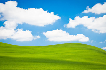 Poster - green field meadow with blue sky and white clouds