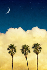 Fotobehang - moon palms with vintage paper textures