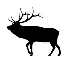 Vector Black Elk