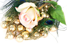 Decoration With Rose And Beautiful Exotic Peacock Feathers
