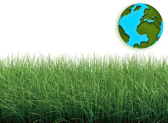 green grass isolated on white and earth covered with grass