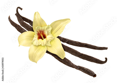 Nowoczesny obraz na płótnie Vanilla Bean and Flower (clipping path)