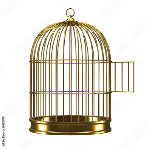 Fotografie, Obraz 3d Gilded bird cage with open door
