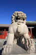 oriental Chinese lion at Prince Gong's palace in Beijing