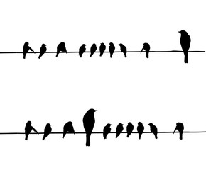 Wall Mural - silhouettes of the birds on wire
