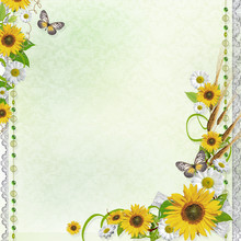 Summer Background With Butterfly And Flowers (1 Of Set)
