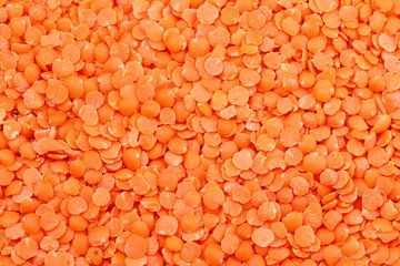 Poster - Red lentils background