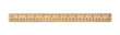 twelve inch measurement ruler on white