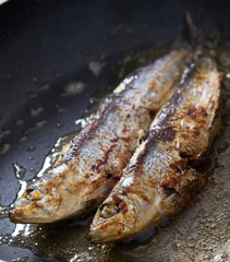 two cooked sardines in pan