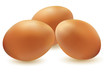 vector illustration of three eggs