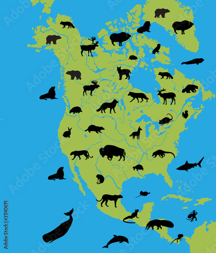 Naklejka na szybę Animals of North America