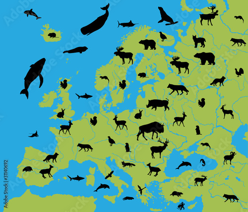 Naklejka na szafę Animals of Europe