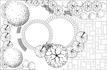 Plan of garden with plant symbols