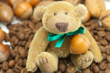 Teddy Bear With A Bow, Coffee Beans And Nuts