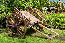 Wooden Cart Stands On Green Herb In Park